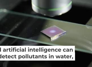 Nanoparticles on a glass slide amplify the sensitivity of a microscope to detect trace amounts of hazardous pollutants. Brandon Martin/Rice University